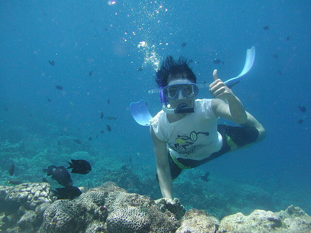 snorkelling along the tuscan coast