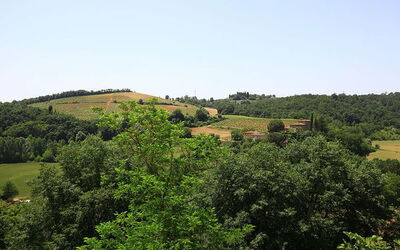 Poggibonsi Landscape