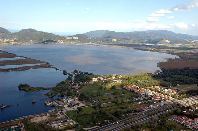 View of Massaciuccoli lake