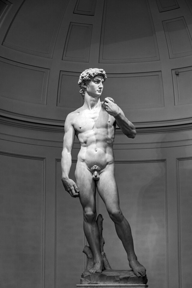 David