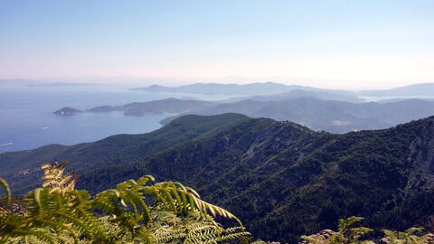 Views in Elba