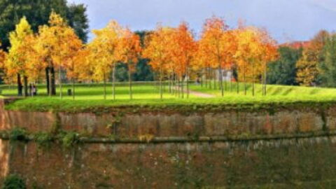 Lucca City Walls