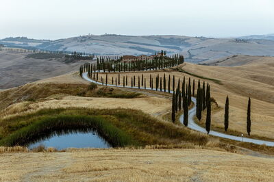 Cypress-lined roads in Tuscany
