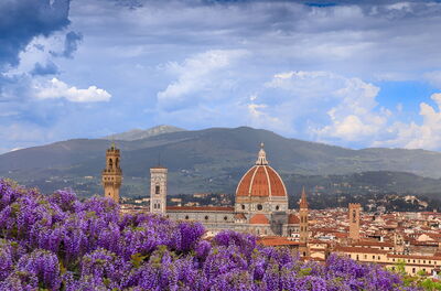 Wisteria and a view over Florence
