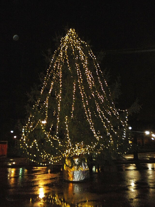 lit up christmas tree tuscany