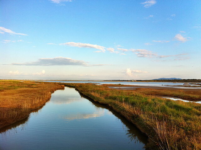 Nature Reserve of Diaccia Botrona