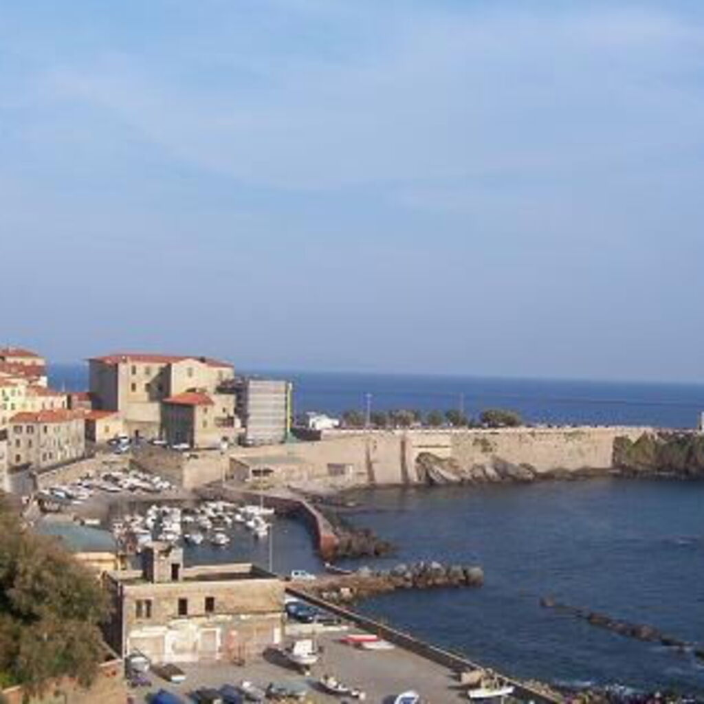 Donna Quinn