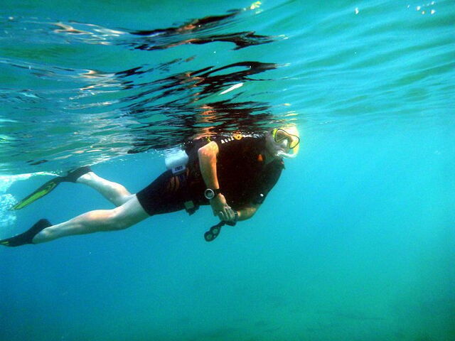 The exciting underwater world of Tuscany