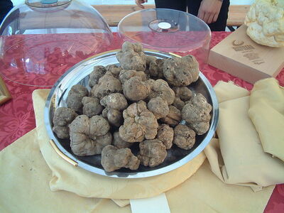 bowl of white truffles