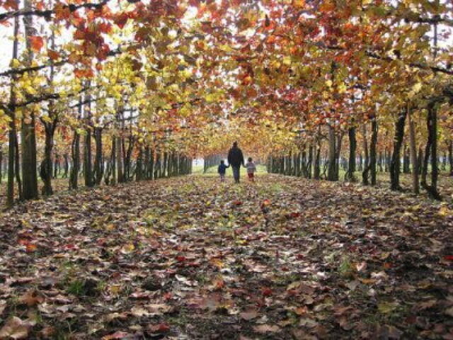 Autumn in Tuscany