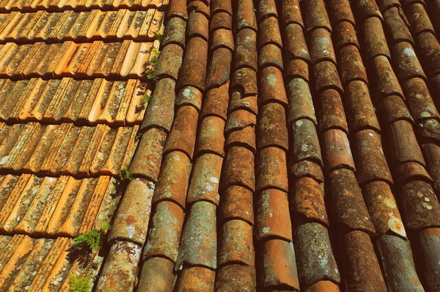Terracotta Tiles