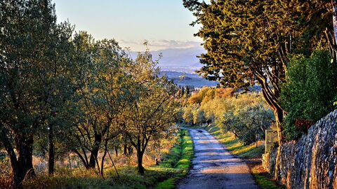 Chianti Roads