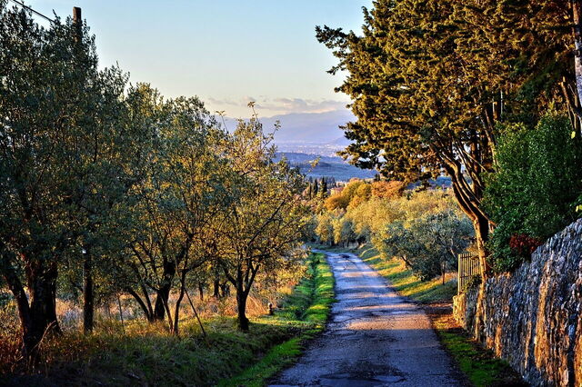 Chianti Roads