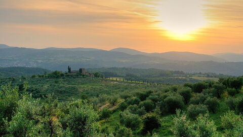 View from Reggello