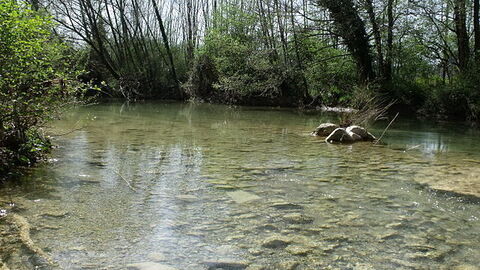 Merse river