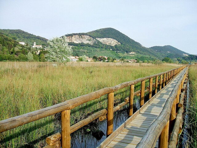 Lake Massaciuccoli