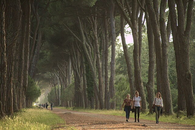 Natural Park of Migliarino San Rossore Massaciuccoli