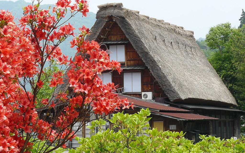 Dream house