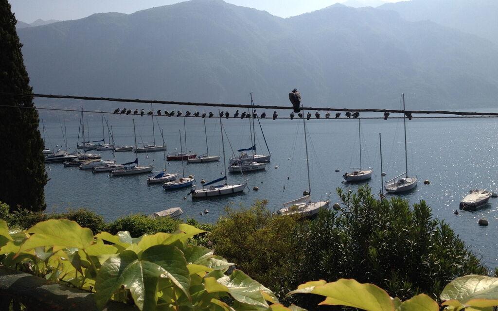 Early morning on Como