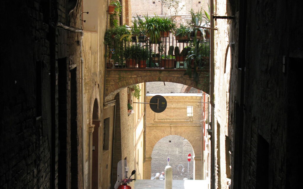 Siena