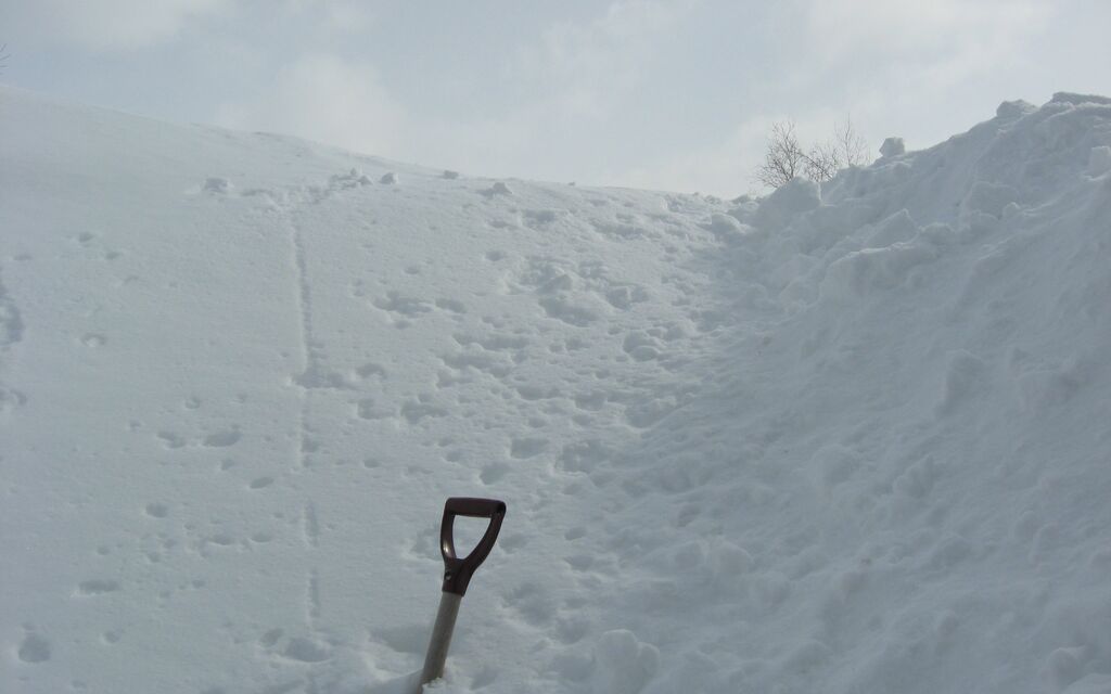 Snow Storm