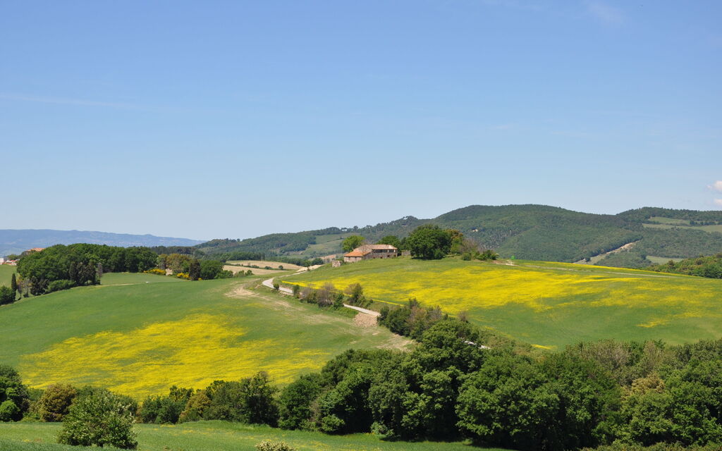 Tuscany Colors