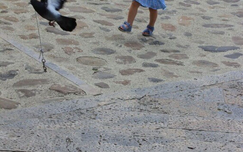 The carefree joys of childhood