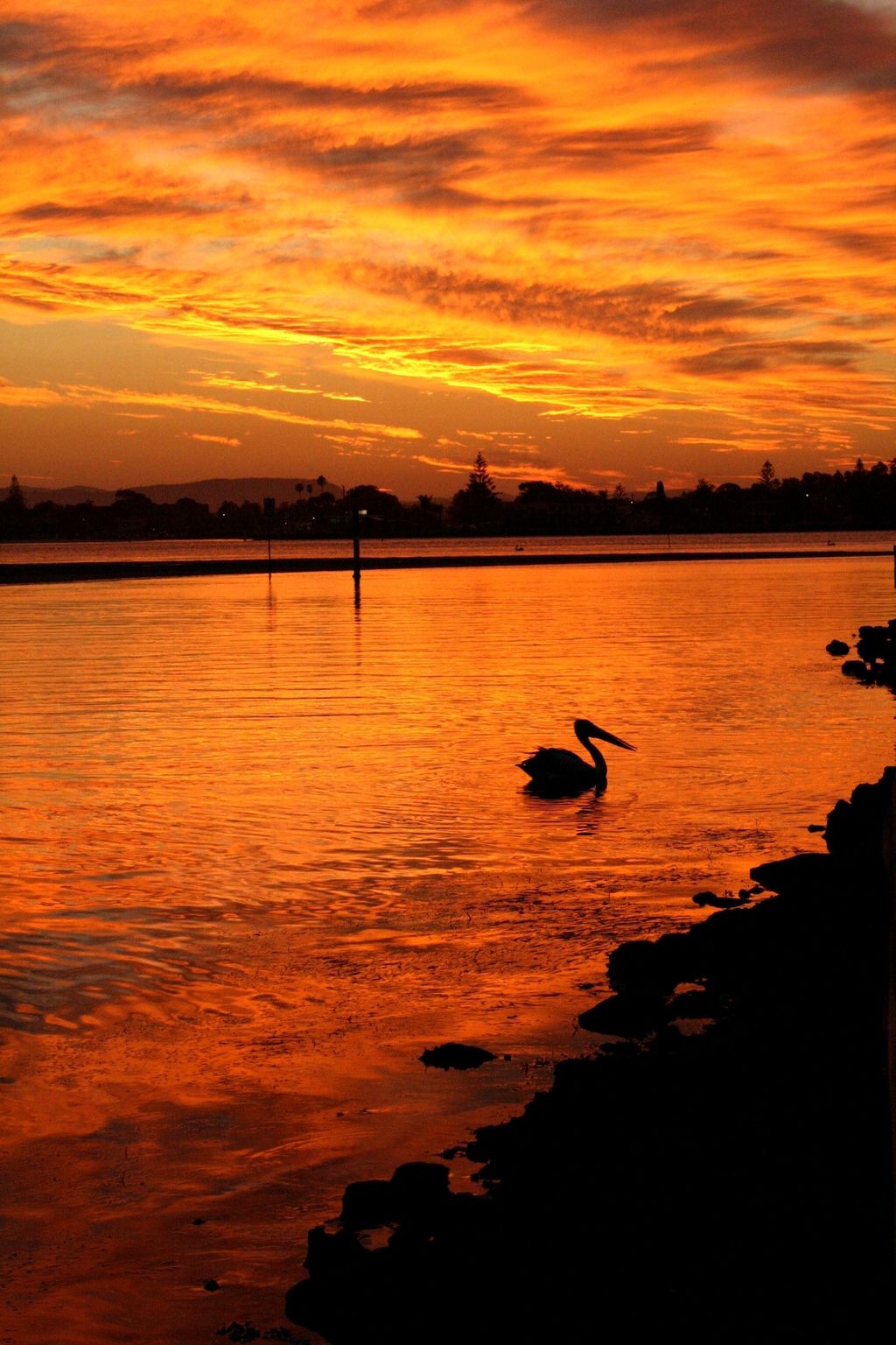 River Sunset