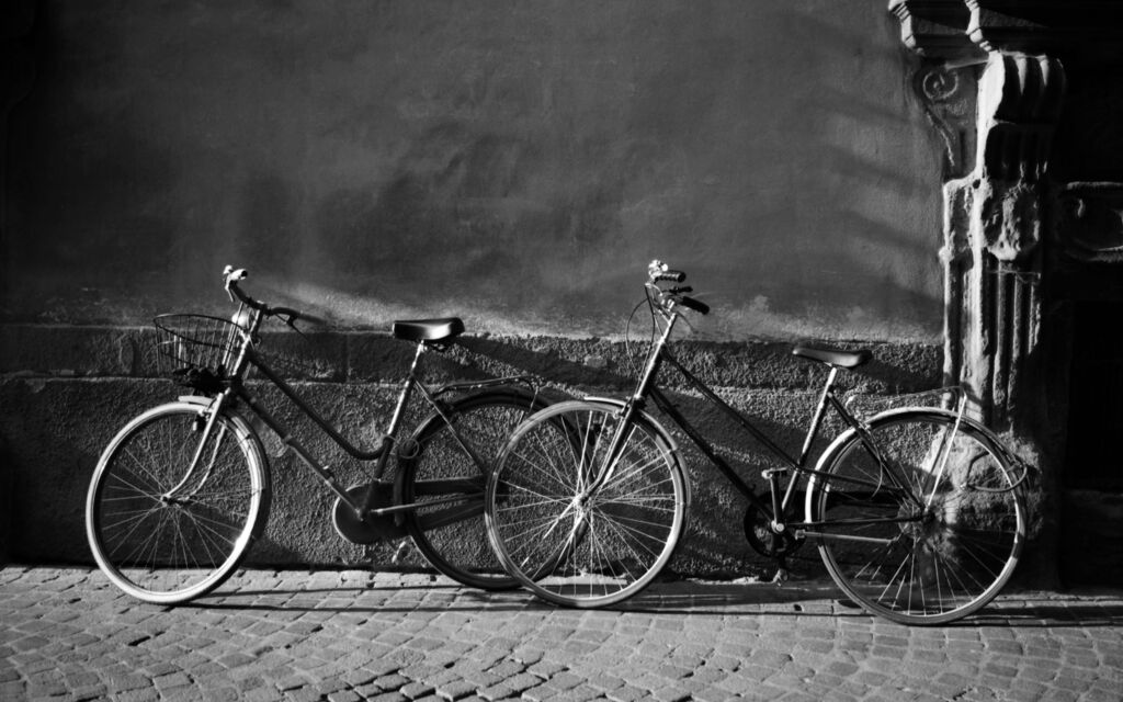 Biciclette a due