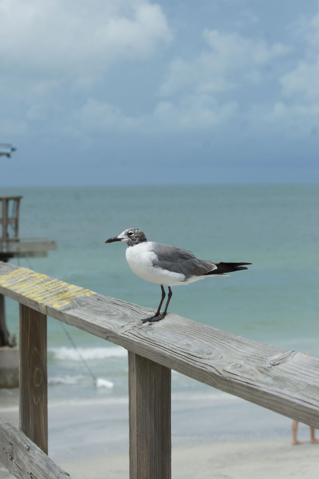 By the Sea