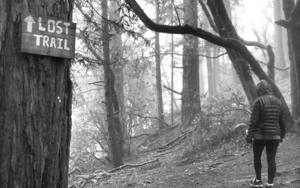 Lost Trail
