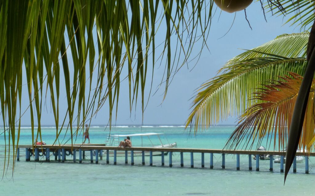 French Polynesia - Moorea