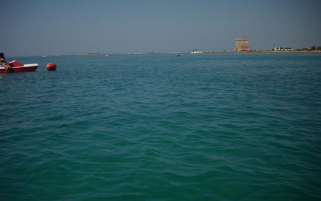 mare