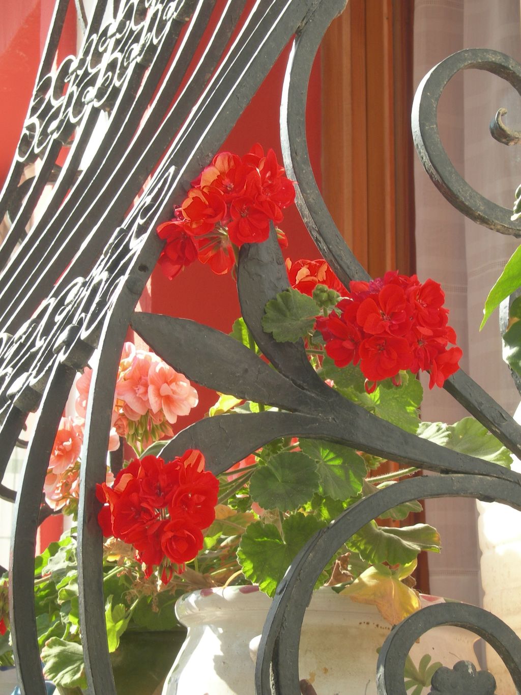 finestra fiorita
