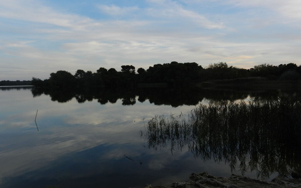 lago alimini
