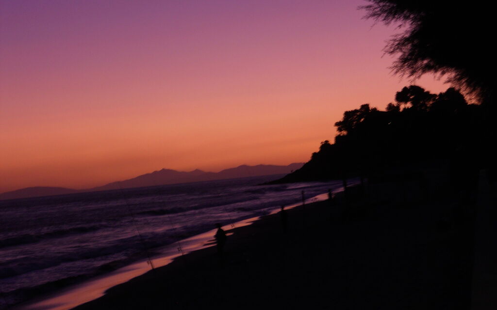Violet sunset