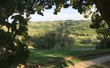 Photo submitted by guest of Montegufoni