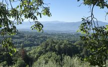 Photo submitted by guest of Villa Flora