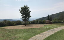 Photo submitted by guest of Villa Ortaglia