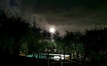 Foto pubblicata dell'ospite di Villa Mastiano