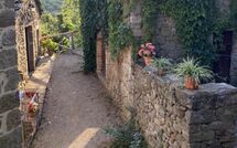 Photo submitted by guest of Villa Il Roseto