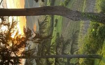 Foto pubblicata dell'ospite di Radda in Chianti 850