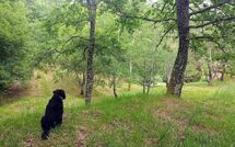 Foto pubblicata dell'ospite di Vignoli