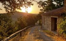 Foto pubblicata dell'ospite di Podere Palazzo