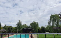 Foto pubblicata dell'ospite di La Quiete