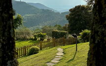 Foto pubblicata dell'ospite di Villa Crispinino