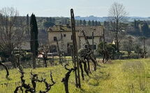 Photo submitted by guest of Dependance di Villa Magna