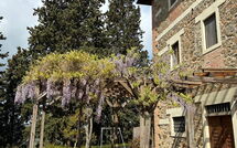 Foto pubblicata dell'ospite di Policleto