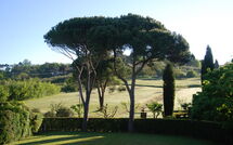 Foto pubblicata dell'ospite di Villa Clara 20