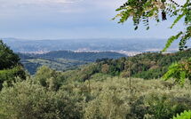 Photo submitted by guest of Florence 646